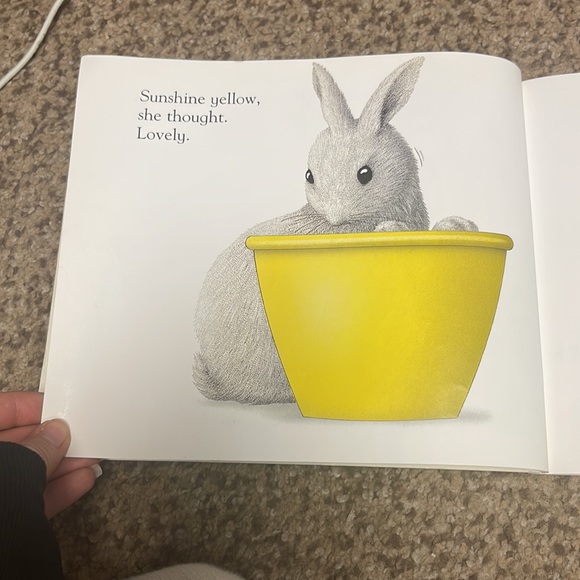 White Rabbit’s Color Book by Alan Baker - Picture 6 of 7